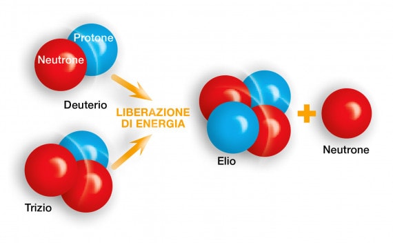 fisione 7